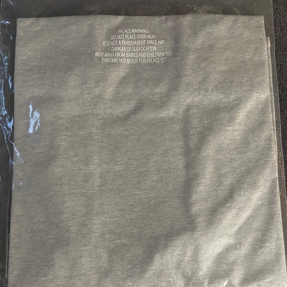 *NWT* Palace TRI - LAGER T - Shirt (Grey Marl) - Picture 3 of 6